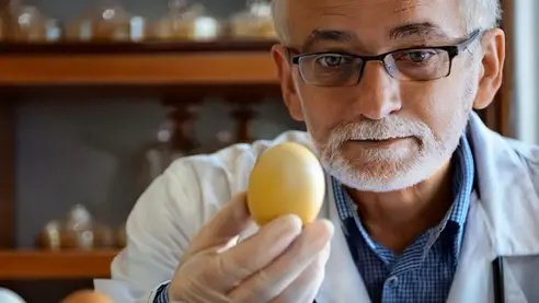 Médico explica o que acontece quando você como ovos todos os dias
